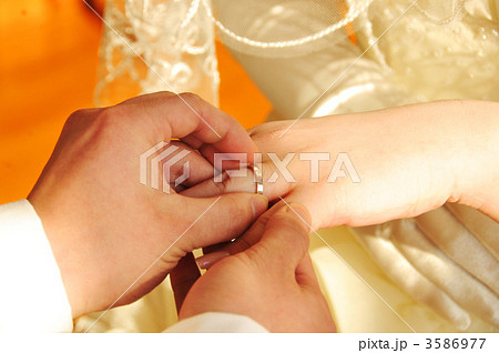 指輪交換 3586977