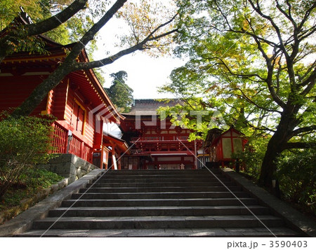 談山神社 3590403