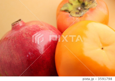 ザクロと柿 3591798