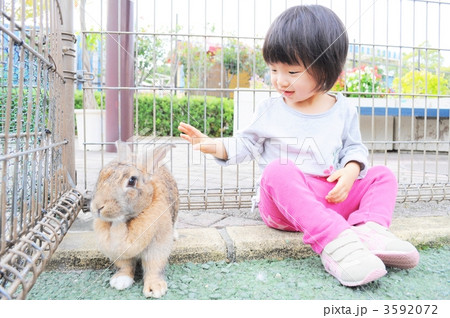 動物園1 3592072