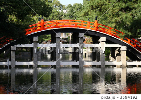 住吉神社　住吉大社　太鼓橋 3594192