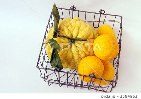 柚子 柚子 3594863