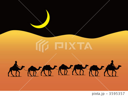 駱駝隊 3595357