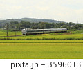 3596013