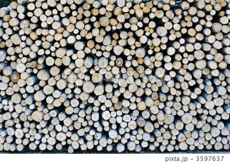 椎茸栽培の原木 3597637