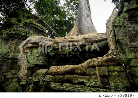 タプローム遺跡 タプローム遺跡 3598197