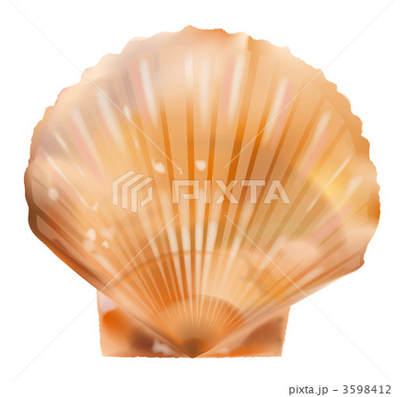 ホタテ ホタテ 3598412
