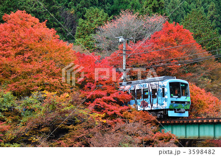 叡山電鉄　貴船口　紅葉　816 3598482