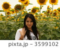 モデル Ⅱ 3599102