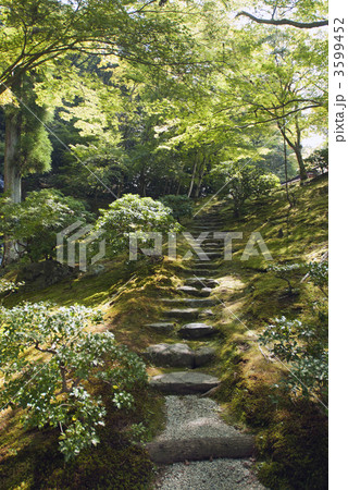 修学院離宮 上離宮 隣雲亭から望む滝への道 修学院離宮 上離宮 隣雲亭から望む滝への道 3599452