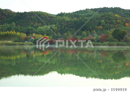 秋の広沢池 3599939