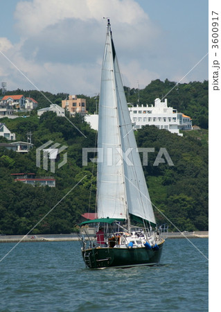 セーリング 3600917