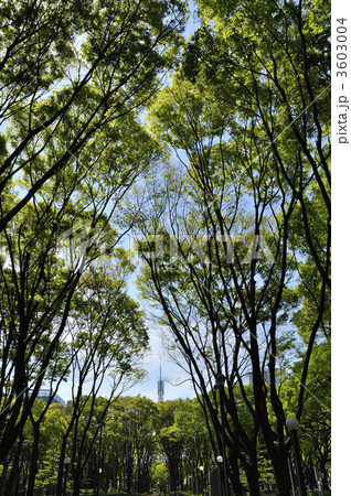 名古屋セントラルパーク 3603004