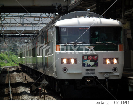 特急踊り子　185系　大船駅 3611691