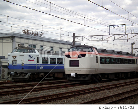 イルカ485系+いろどり彩485系 高尾駅 イルカ485系+いろどり彩485系 高尾駅 3611702