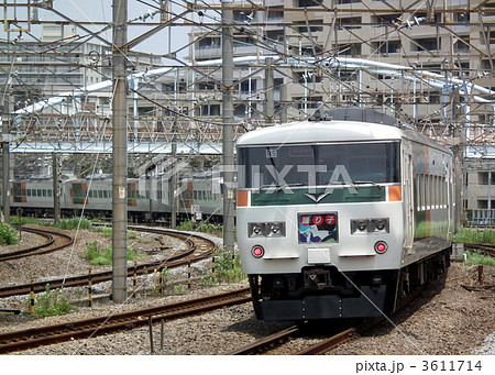特急踊り子　185系　大船駅 3611714