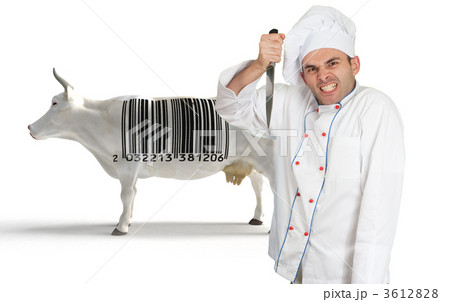 Cook, knife and cow Cook, knife and cow 3612828