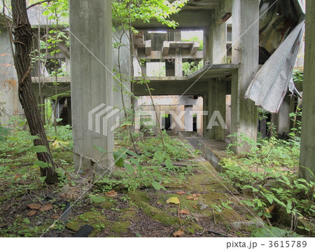 羽幌炭砿 3615789