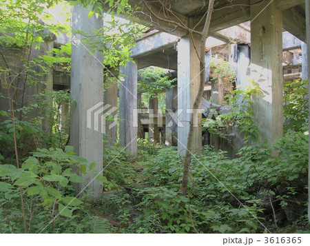 羽幌炭砿 3616365