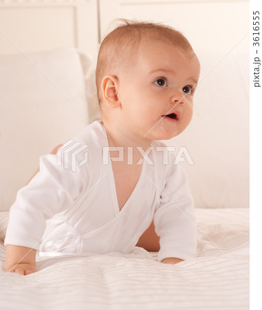 The baby The baby 3616555