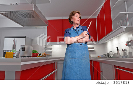 Expert cook 3617813
