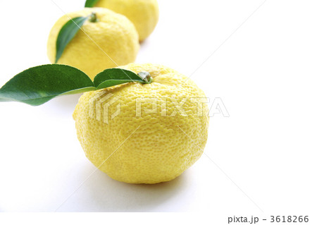 柚子 3618266