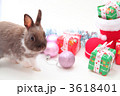 2011Xmas2 3618401