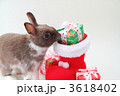 2011Xmas9 3618402