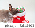 2011Xmas4 3618403