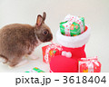 2011Xmas5 3618404