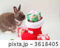2011Xmas6 3618405