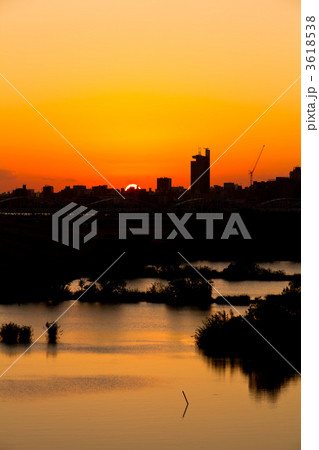 淀川ワンド 3618538