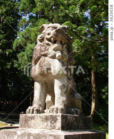 岩木山神社 狛犬の写真素材