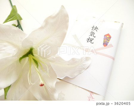 快気祝 3620405