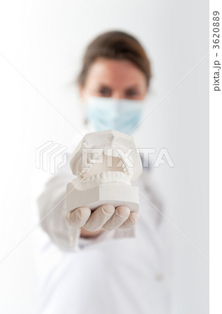 Orthodontist with plaster mold 3620889
