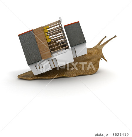 House of a snail House of a snail 3621419