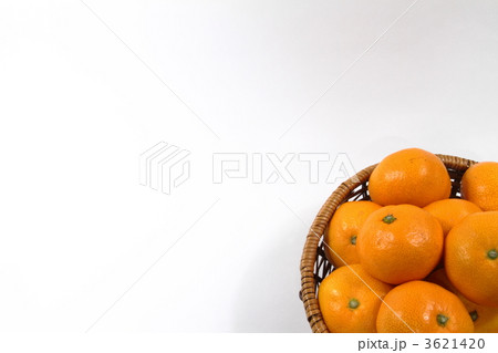 みかん みかん 3621420