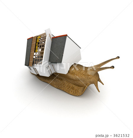 Snail with house 3621532