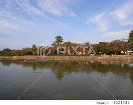 長岡天満宮 長岡公園 長岡天満宮 長岡公園 3621582