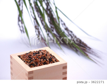 五穀米と赤米の稲穂 3622271