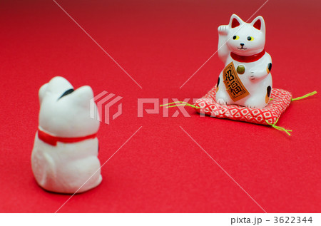 向い合う小さい招き猫 向い合う小さい招き猫 3622344