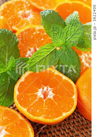 みかんとミント 3622400