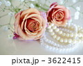 薔薇とパール 3622415