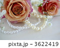 薔薇とパール 3622419