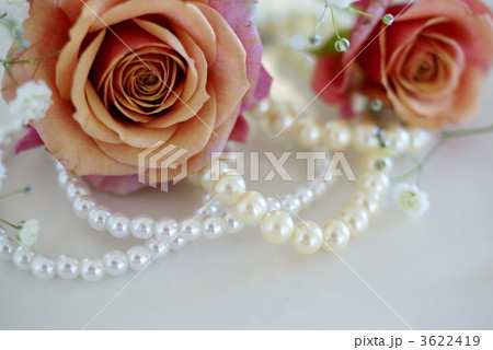 薔薇とパール 3622419