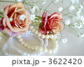 薔薇とパール 3622420