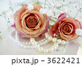 薔薇とパール 3622421