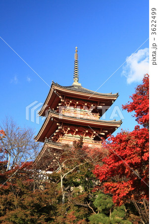 清水寺紅葉 3622499