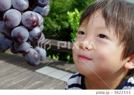 ピオーネ(ぶどう)と子供 ピオーネ(ぶどう)と子供 3622553
