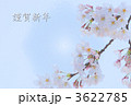 桜 桜 3622785